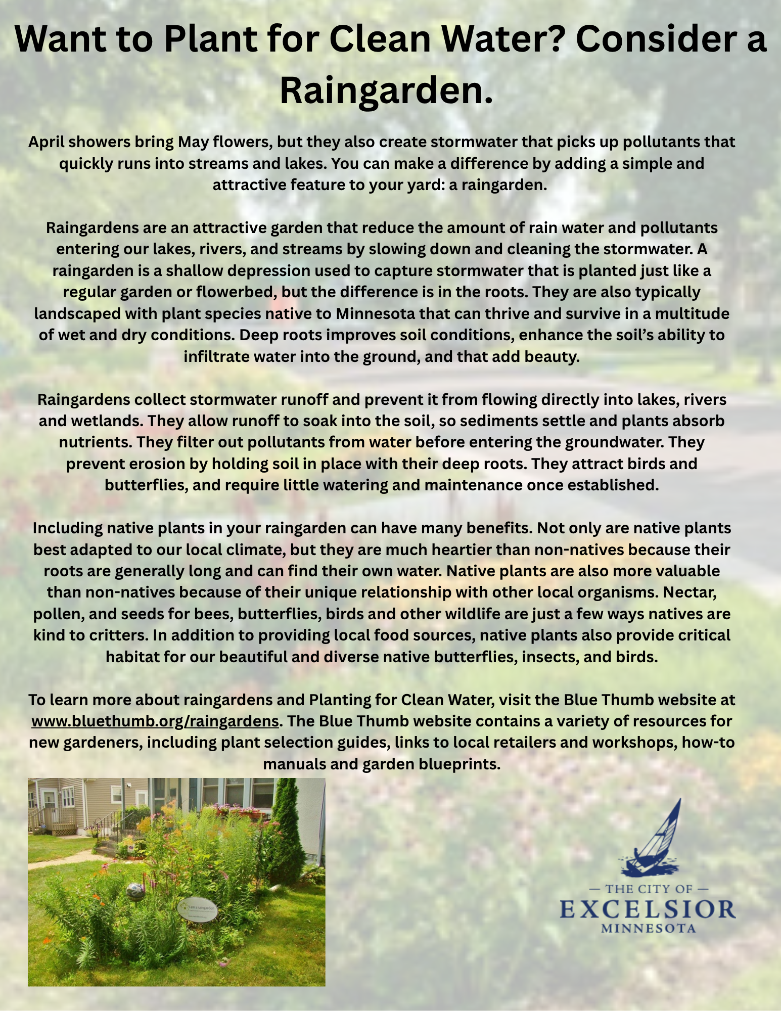 Want to Plant for Clean Water Consider a Raingarden.